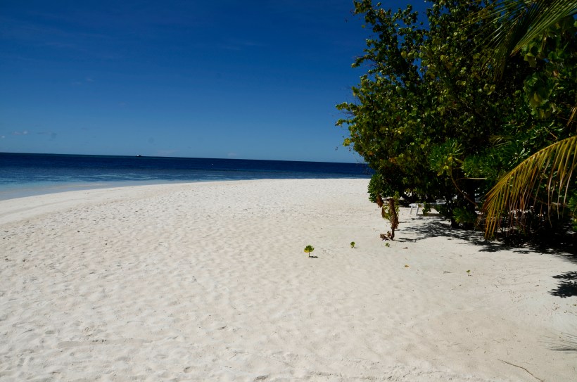 2015 Maldivene - Athuruga 039f.JPG