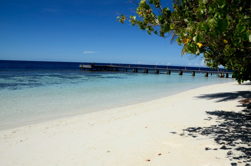 2015 Maldivene - Athuruga 049fc.JPG