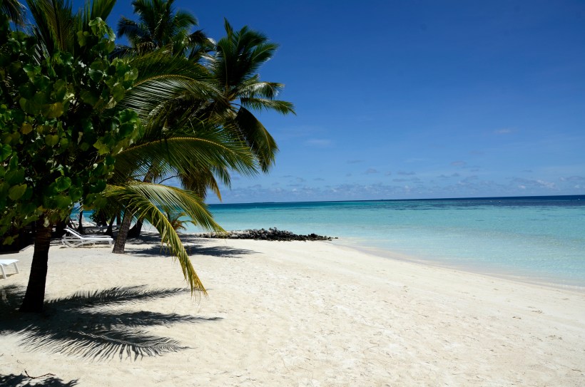 2015 Maldivene - Athuruga 068f.JPG