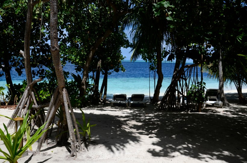 2015-maldivene-vilamendhoo-026b