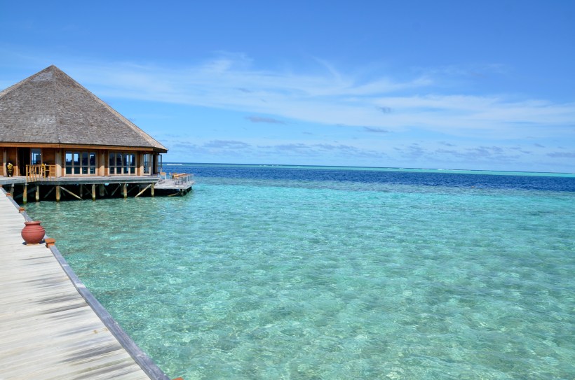 2015 Maldivene - Vilamendhoo 054b.JPG