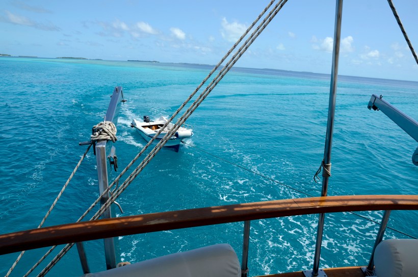 2015 Maldivene - Vilamendhoo 164b.JPG