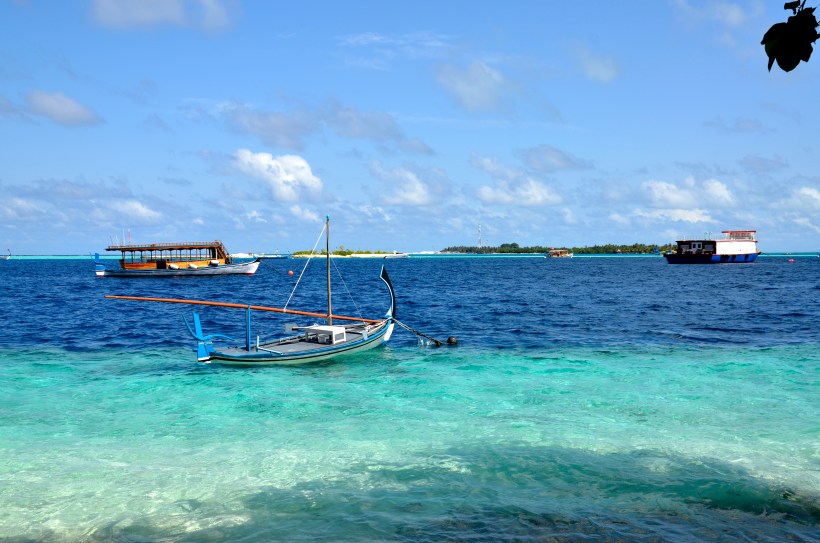 2015 Maldivene - Vilamendhoo 205b.JPG