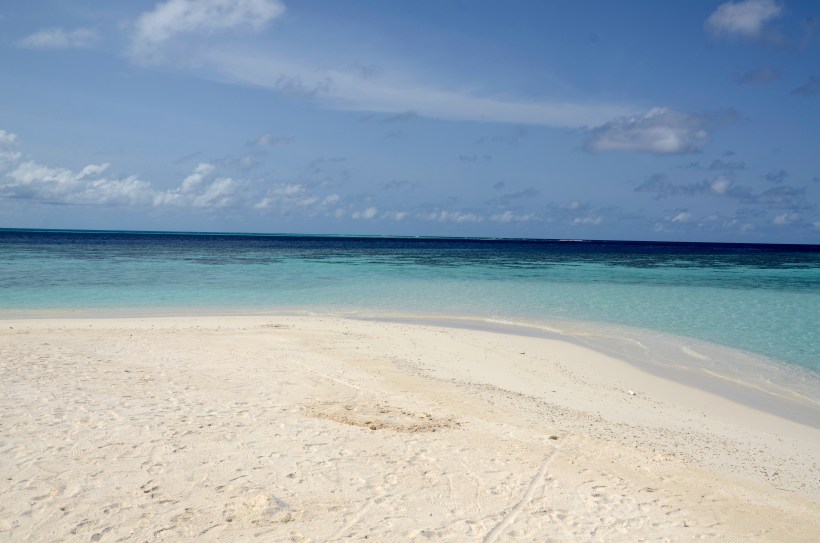 2015 Maldivene - Vilamendhoo 229b.JPG