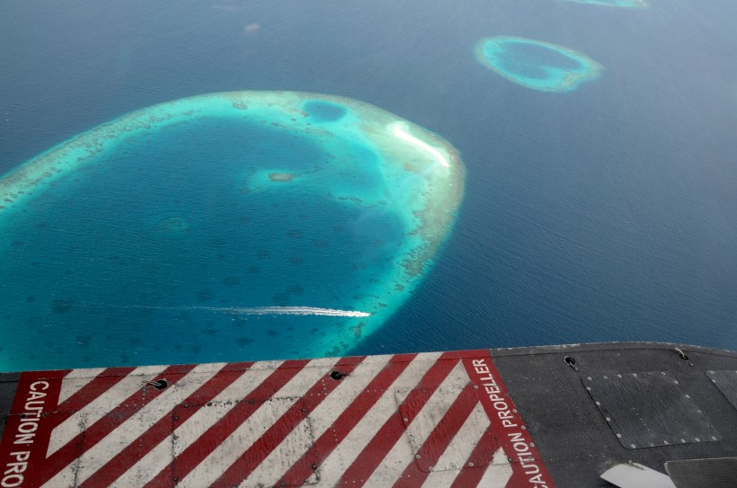 Maldivene 2014 030f.JPG