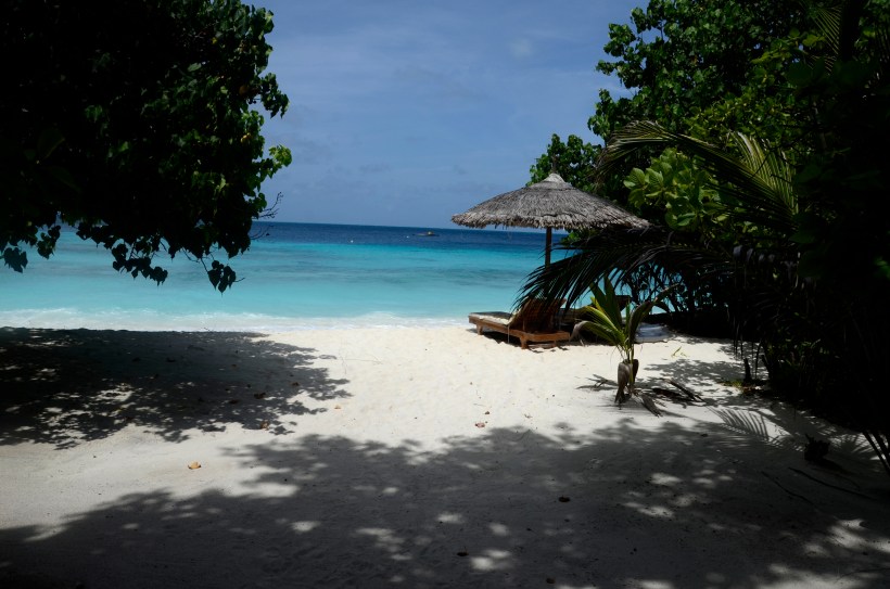 Maldivene 2014 344f.JPG